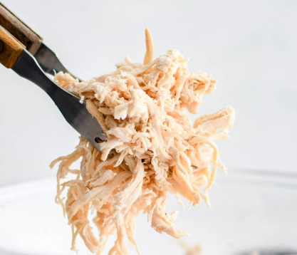 healthy shredded chicken recipes