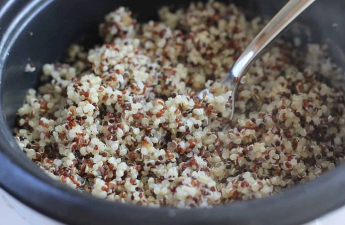 how to cook quinoa in rice cooker
