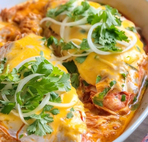 crockpot salsa chicken crockpot salsa chicken